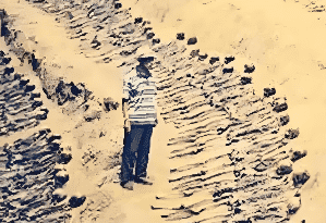 <strong>暴雨过后惊现7万具骸骨：一场被洪水冲出的历史迷局</strong>